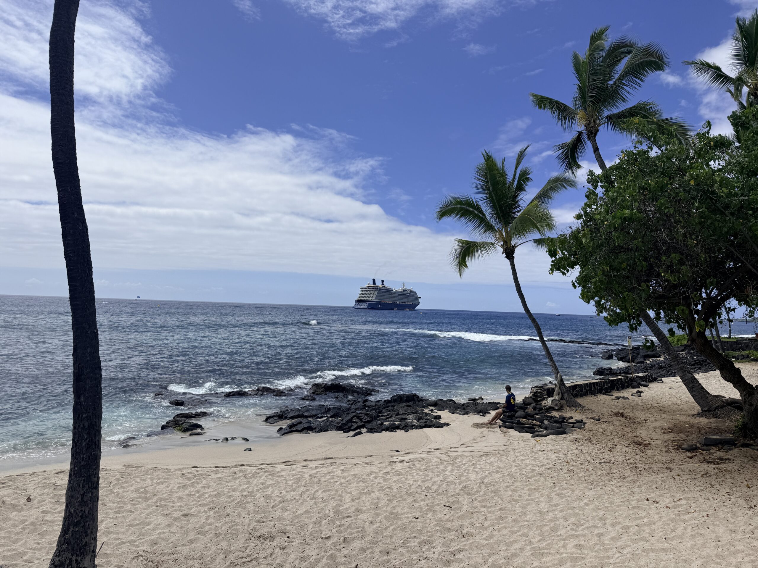 Palm trees and lava rock line a sandy Kona beach while a cruise ship sits offshore under blue sky.