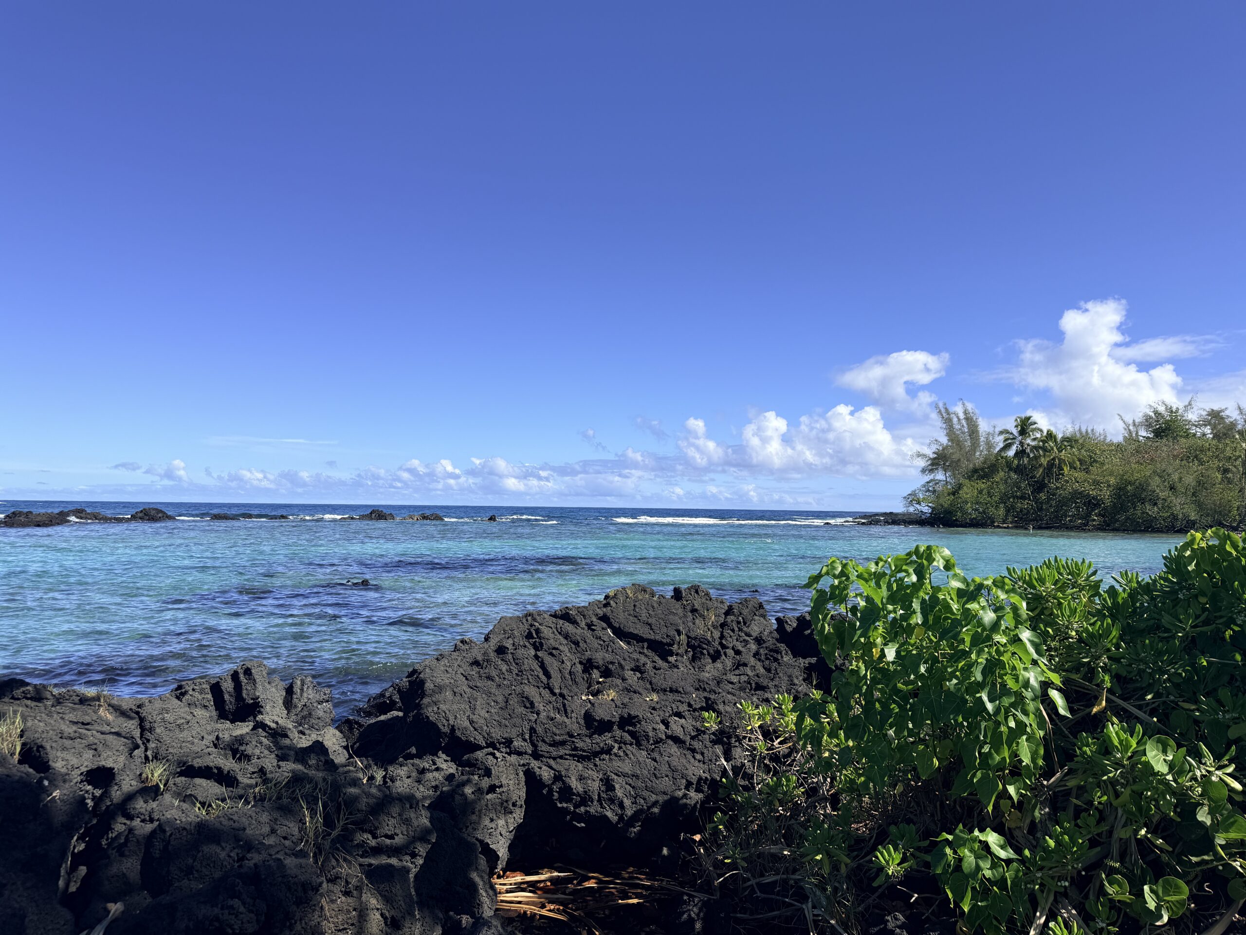 Black lava rocks and green shrubs frame calm turquoise tide pools along the coast near Hilo, Hawaii.