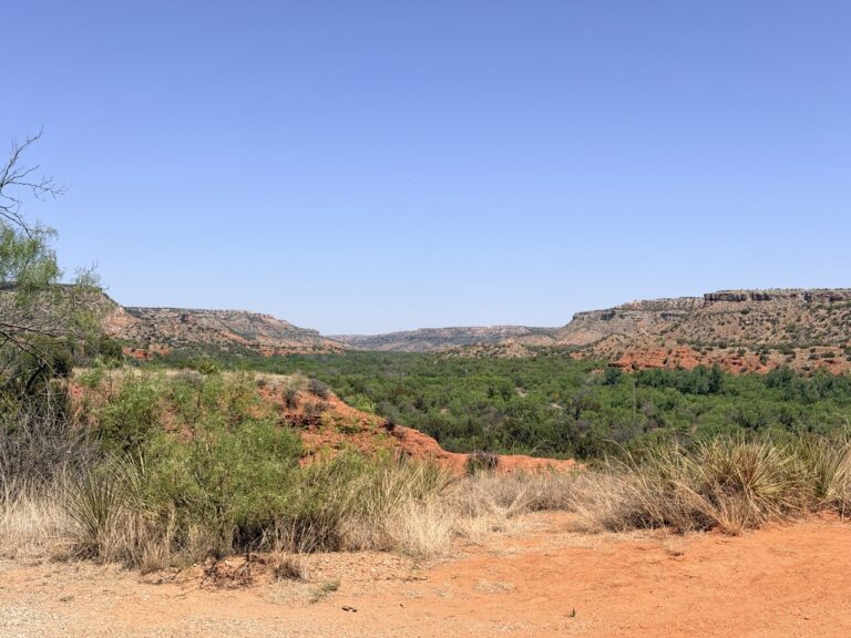 A red rock canyon full of green trees
