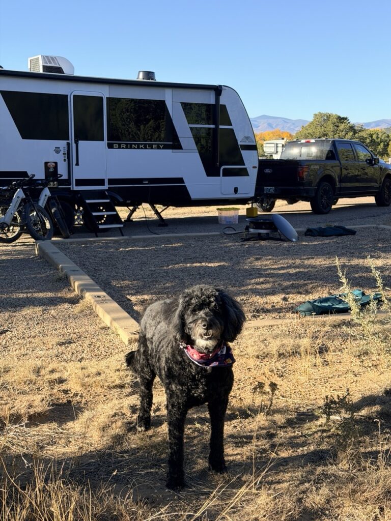 Rindo, a black curly senior dog in a bandana, stands at the campsite with the Brinkley trailer and truck behind.