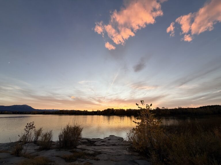 Pink clouds and a soft sunset reflected in a calm lake, seen from a rocky shore with dry grasses.